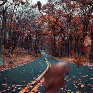 Meet your Posher, Huda